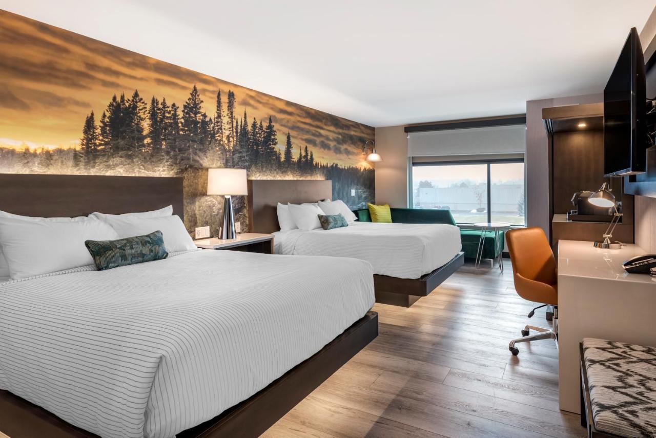 Cambria Hotel Shelby Township - Detroit Utica Shelby Twp Ngoại thất bức ảnh